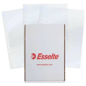 Папки-файлы перфорированные ESSELTE Standard А4 100шт 55мкм глянцевые